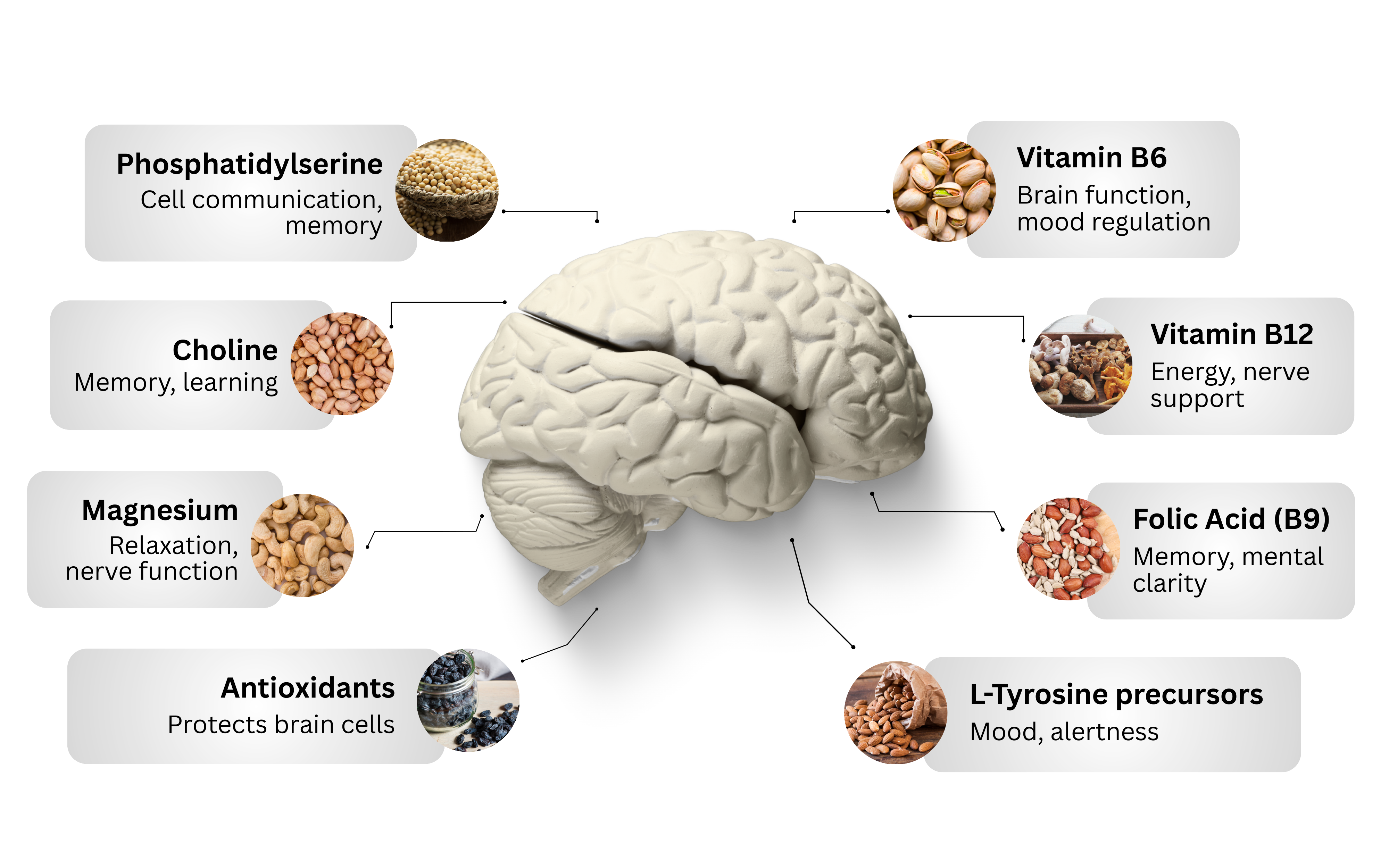 neuroxen-certification